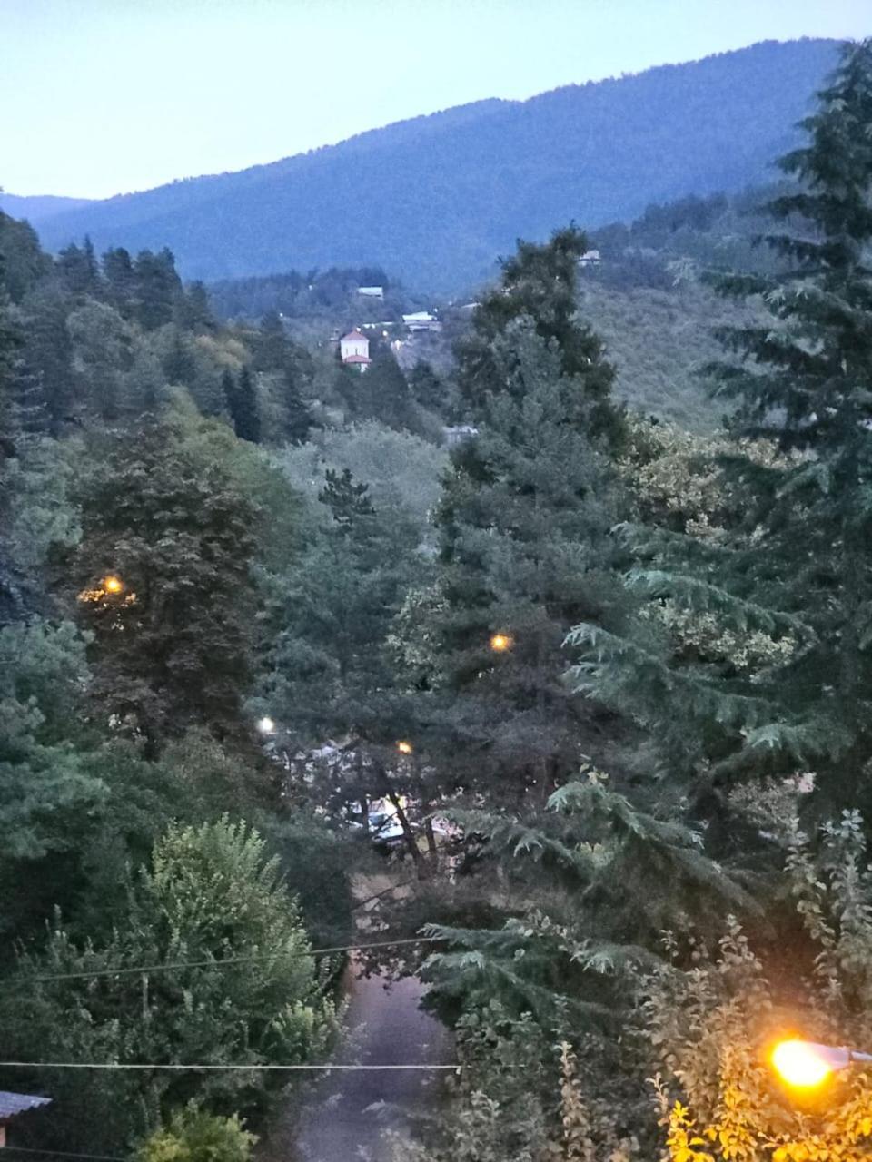 Guest House Likani 2017 Borjomi Quarto foto