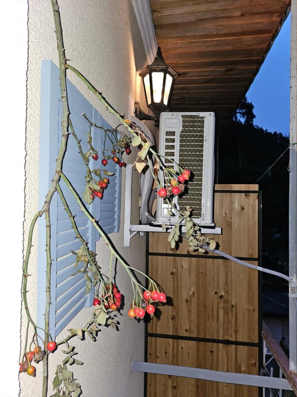 Guest House Likani 2017 Borjomi Quarto foto