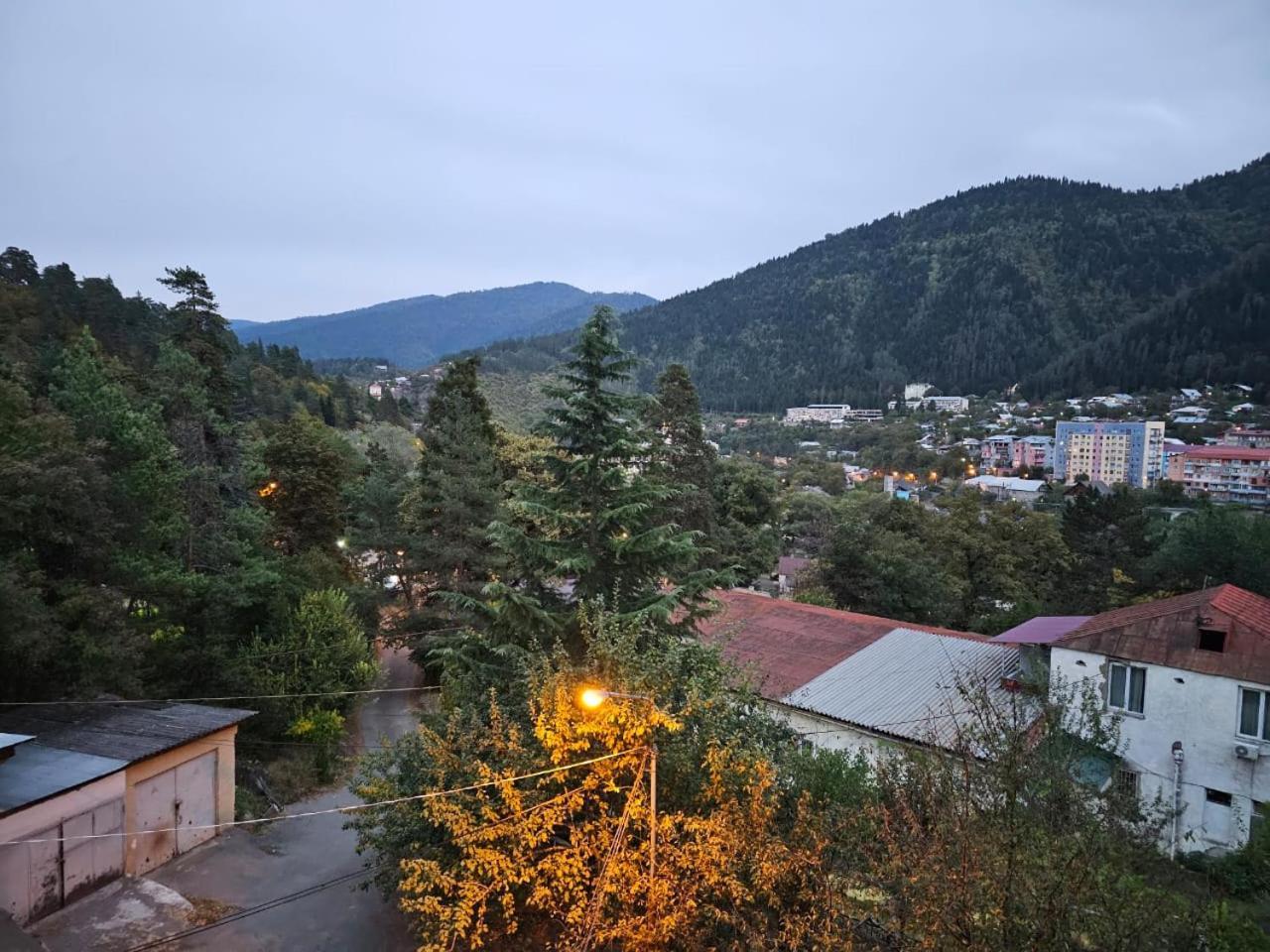 Guest House Likani 2017 Borjomi Quarto foto